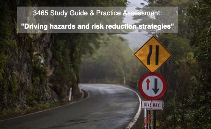 (2.1) 3465 Study Guide & Practice Assessment: “Driving hazards and risk reduction strategies”